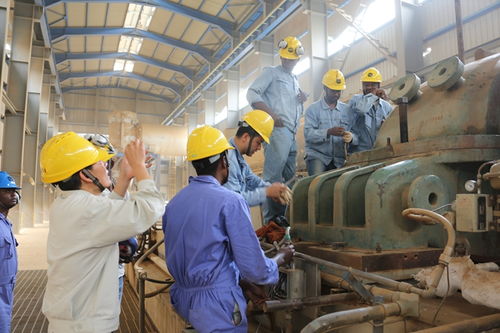 蘭州石化技術(shù)服務(wù)出海 以專業(yè)實力叩開非洲市場大門